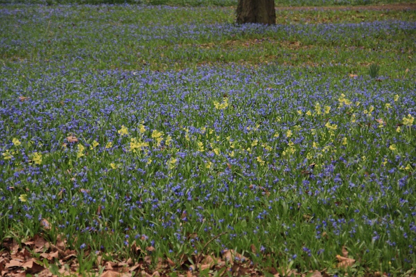 Fruehling   116.jpg